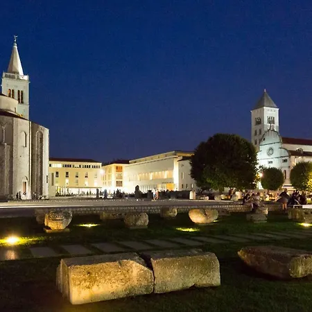 Tara Zadar